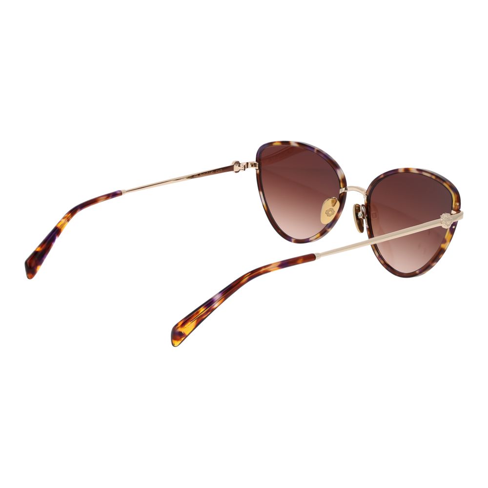 Brown Acetate Sunglasses