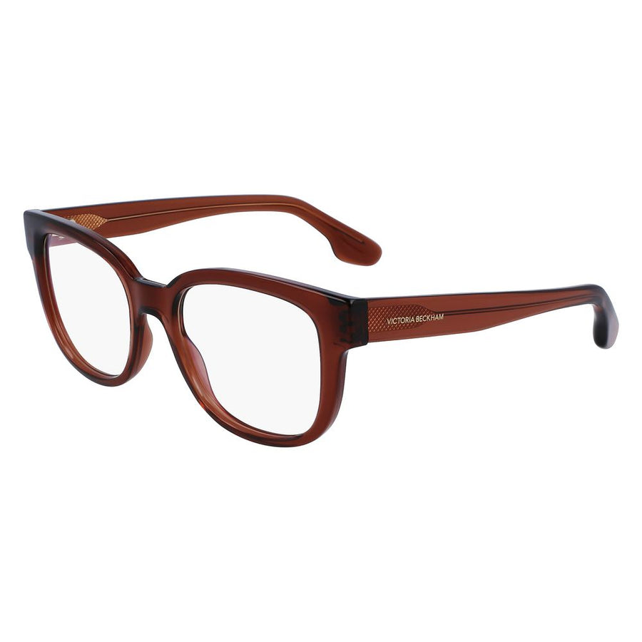 Brown Injected Glasses (Frames)