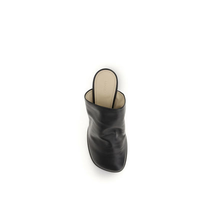 Black Lamb Ovis Aries Aries Mules