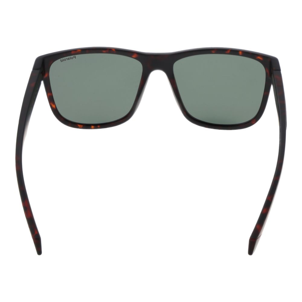 Brown Plastic Sunglasses