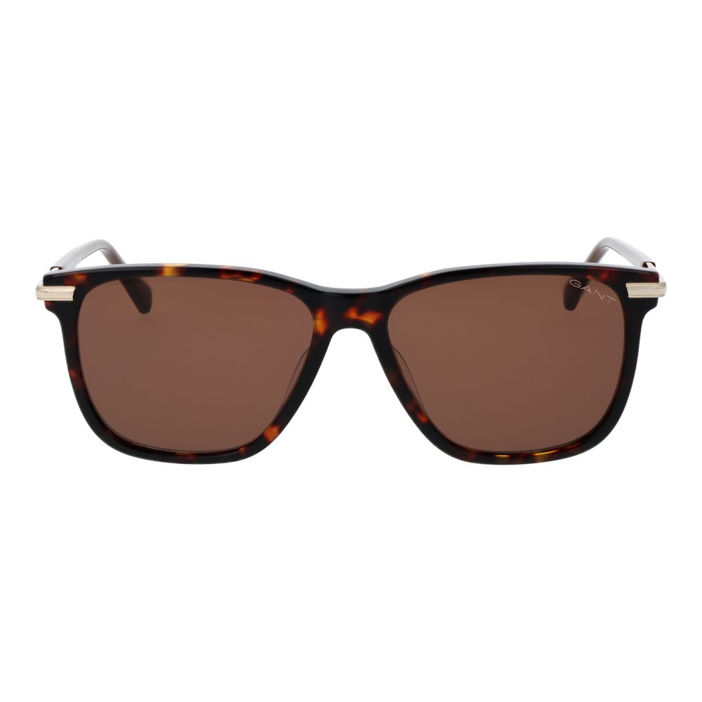 Brown Acetate Sunglasses