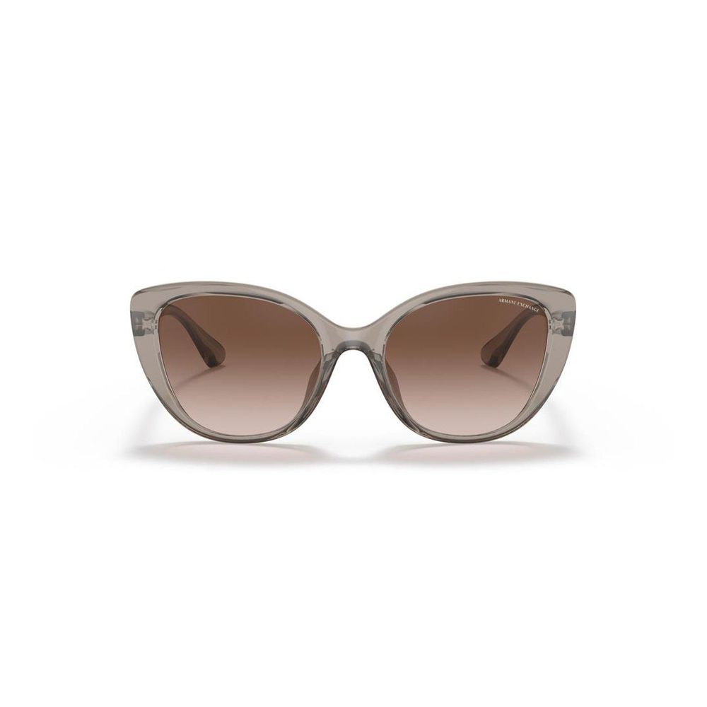 Brown Injected Sunglasses