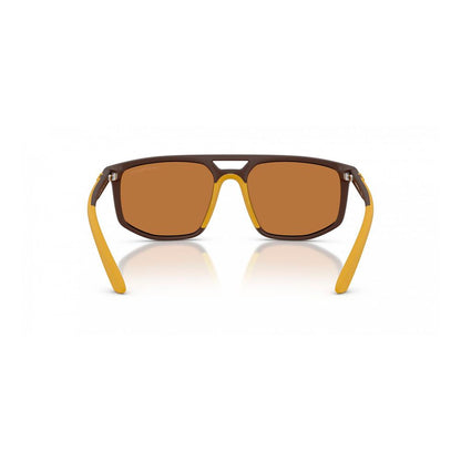 Brown Injected Sunglasses