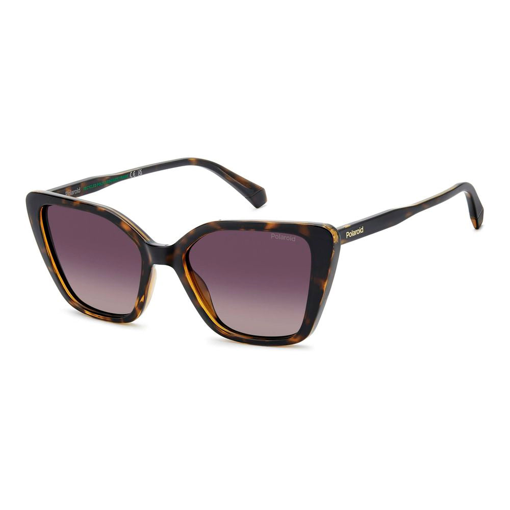 Brown Polycarbonate Sunglasses
