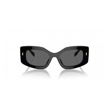 Black Acetate Sunglasses
