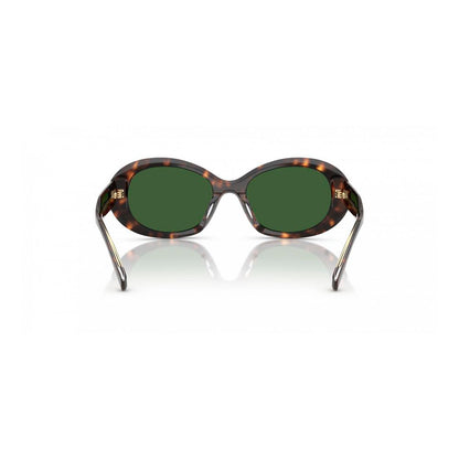 Brown Acetate Sunglasses