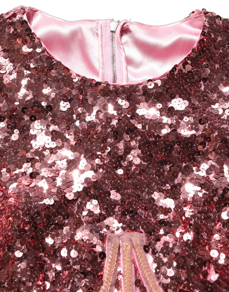 Pink Long Sequined Corset Detailing Gown Dress
