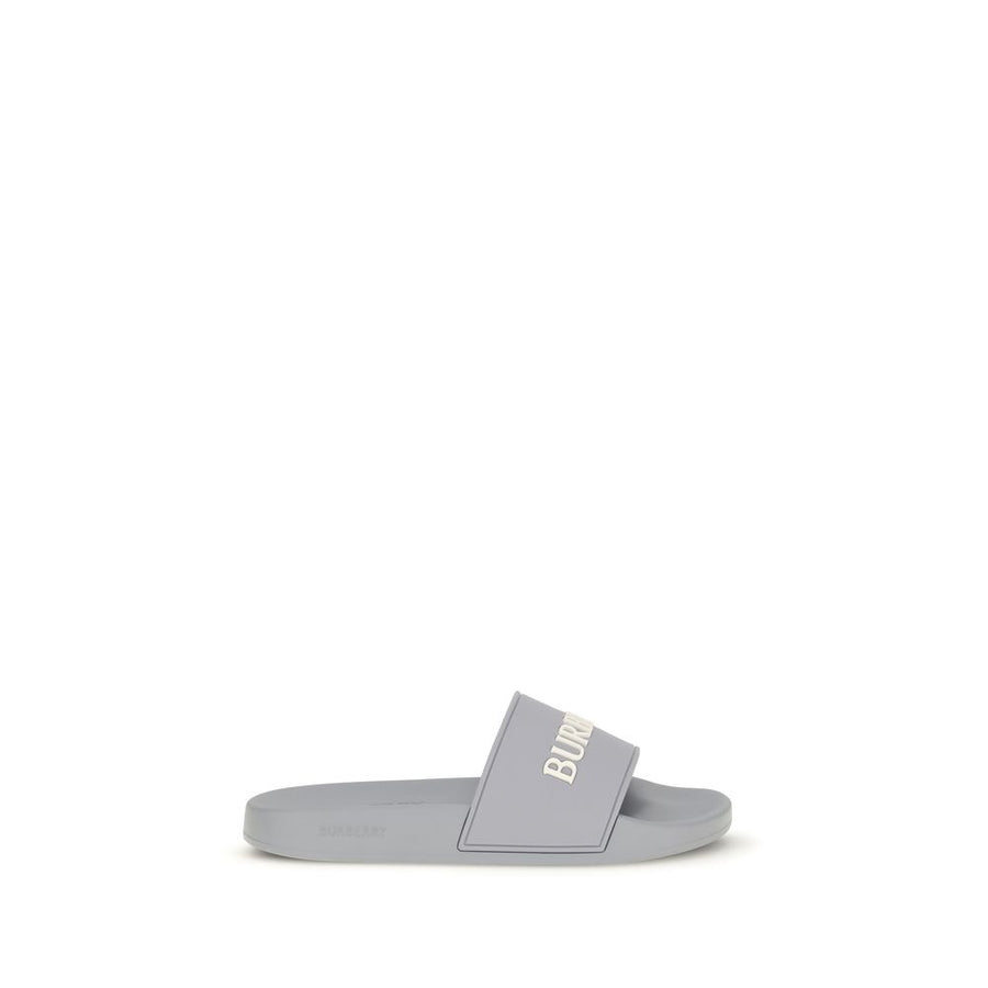 Gray Rubber Slides