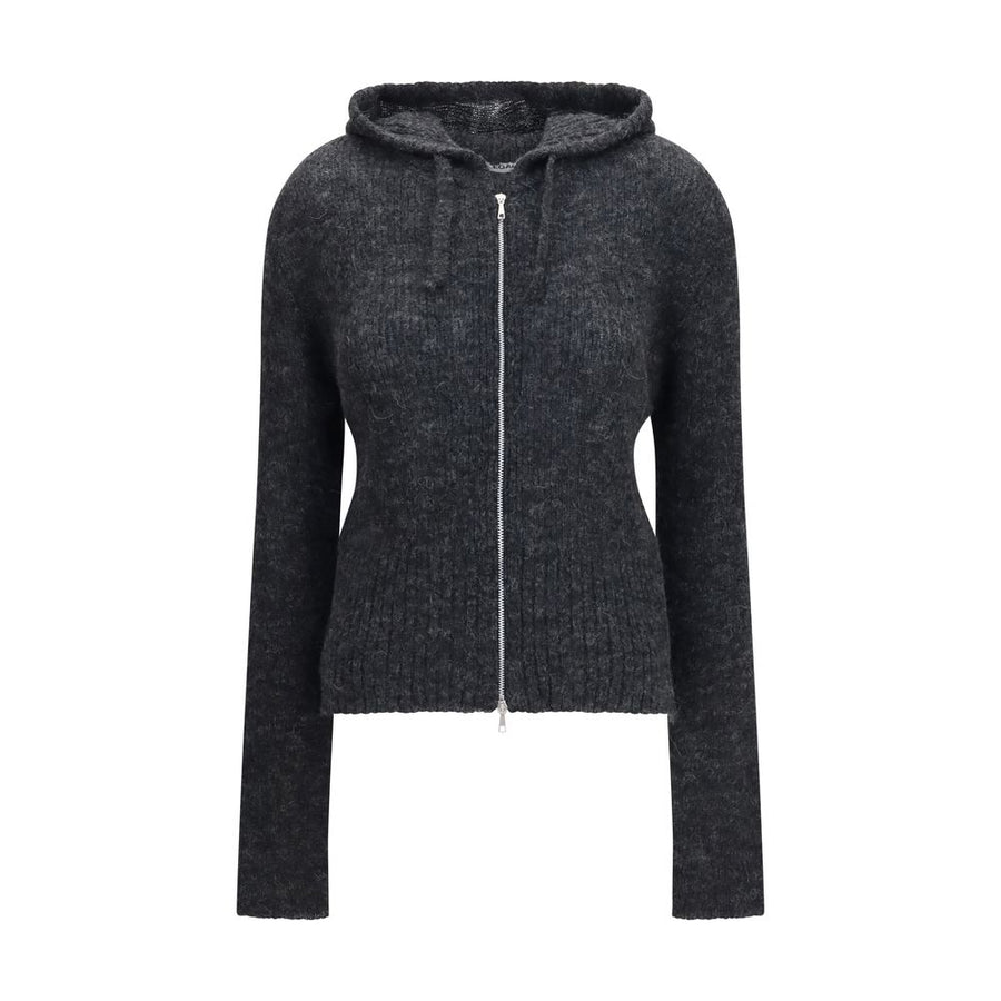 Gray Alpaca Vicugna Pacos Hoodie