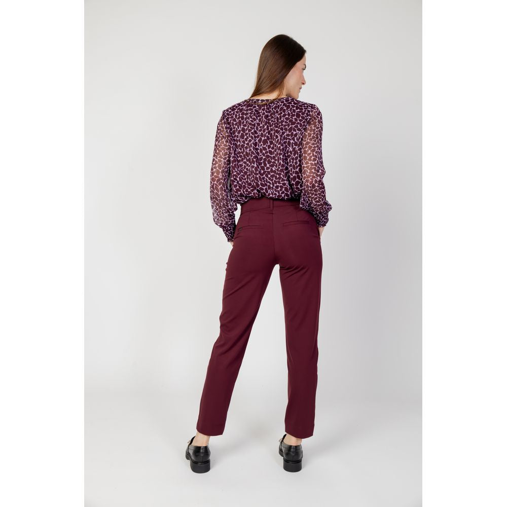 Bordeaux Polyester Chino Pants
