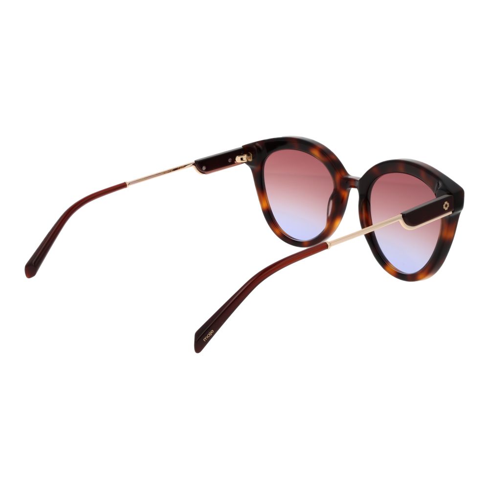 Brown Acetate Sunglasses