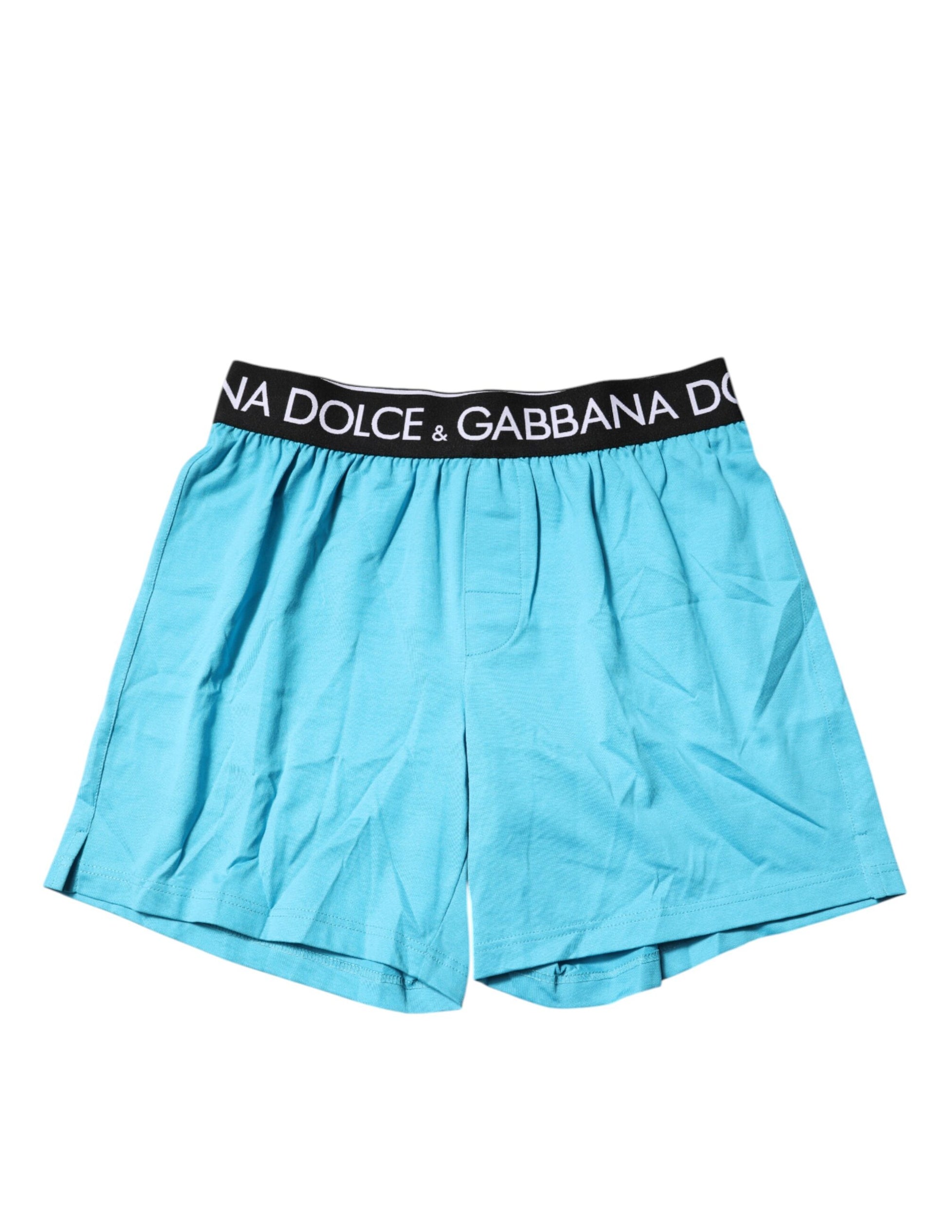 Blue Logo Waist Regular Boxer Shorts Underwear