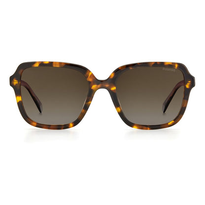 Brown Acetate Sunglasses
