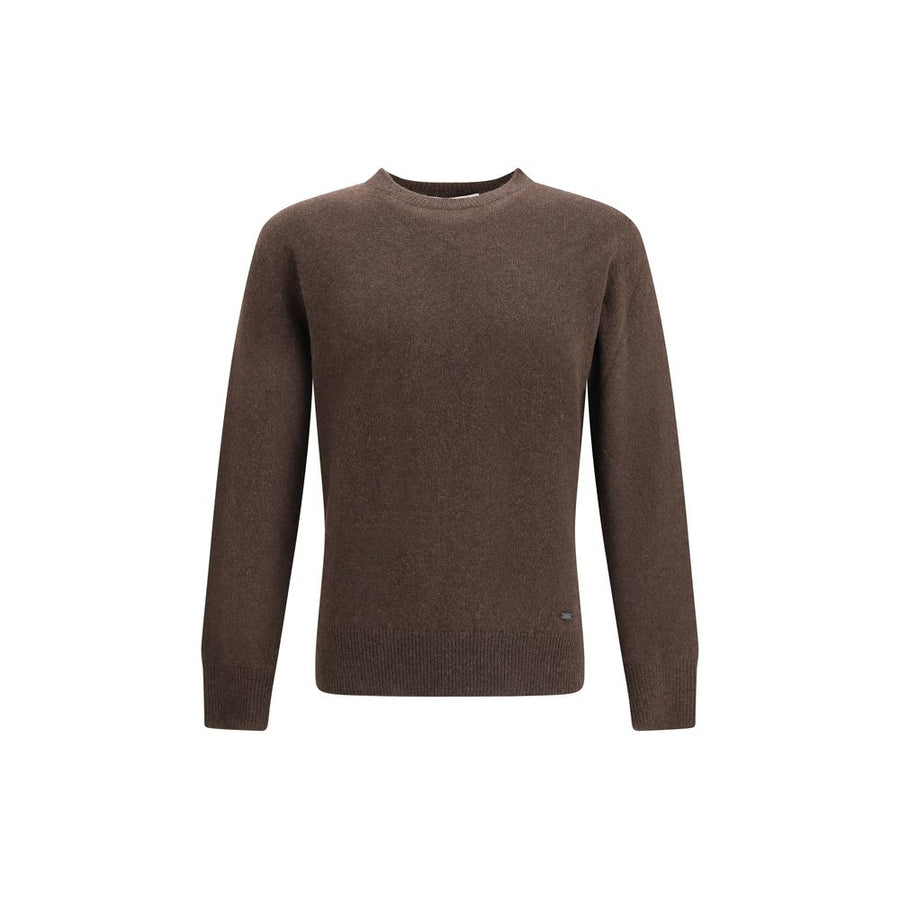 Brown Alpaca Vicugna Pacos Sweatshirt