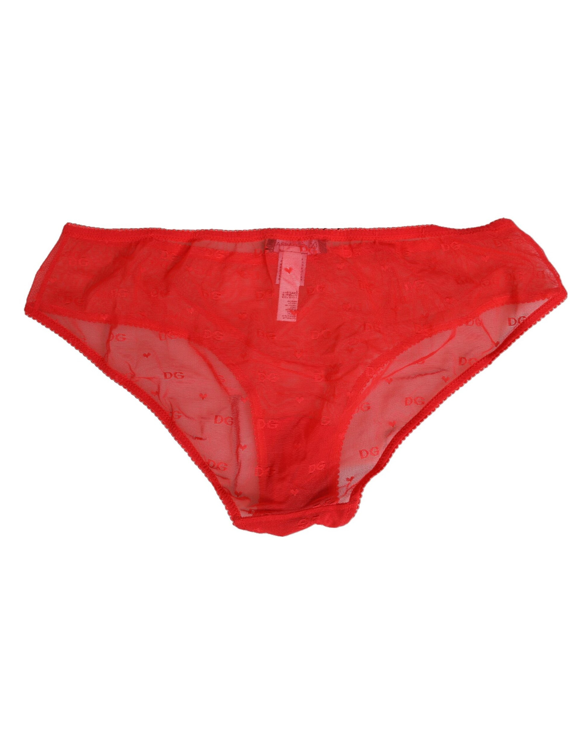 Red Nylon Sheer Mesh Lace Brief Panty Underwear