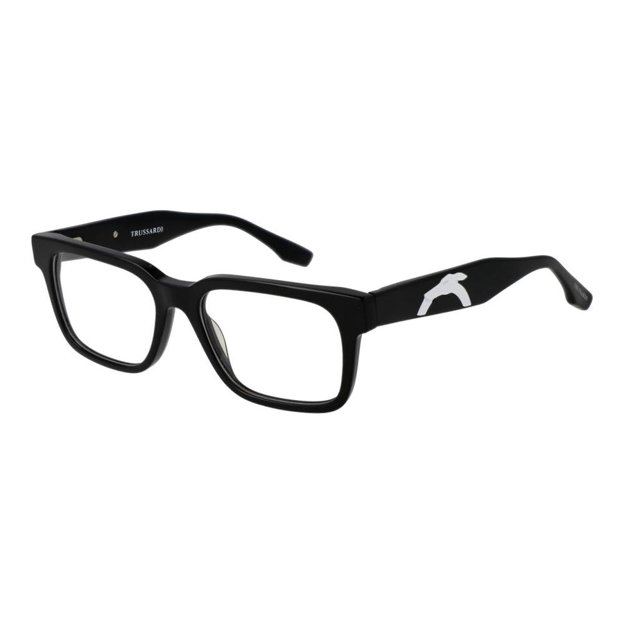Black Acetate Glasses (Frames)
