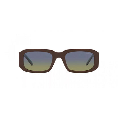 Brown Resin Sunglasses