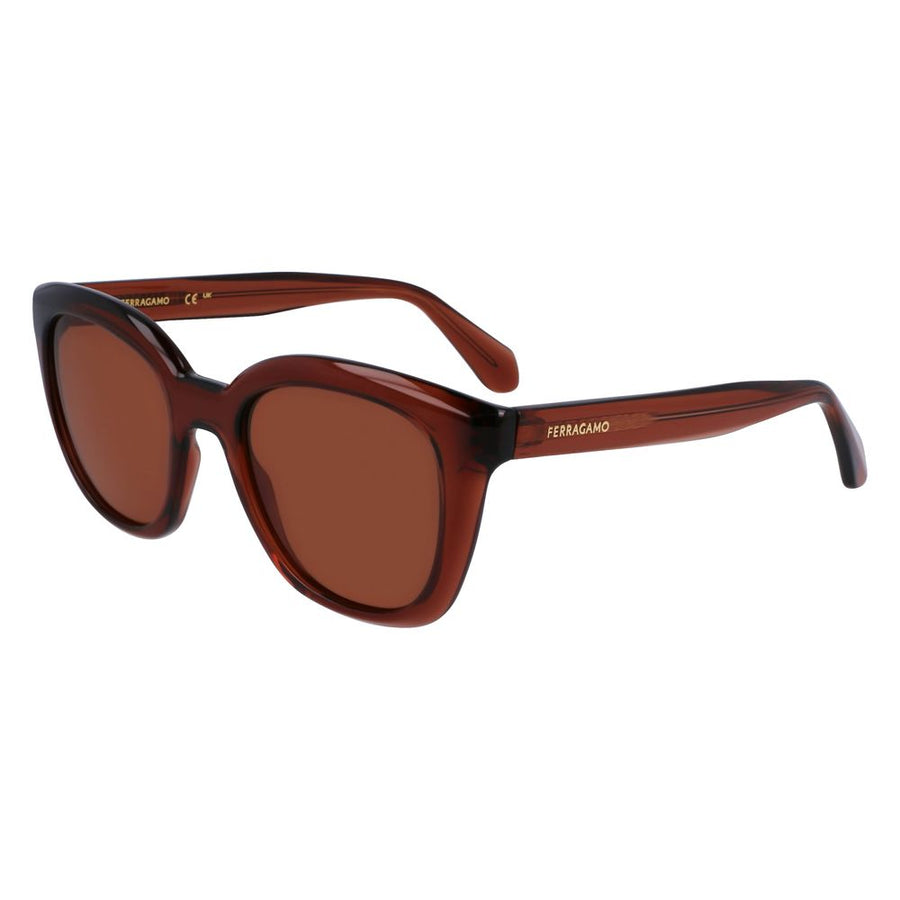 Brown Injected Sunglasses