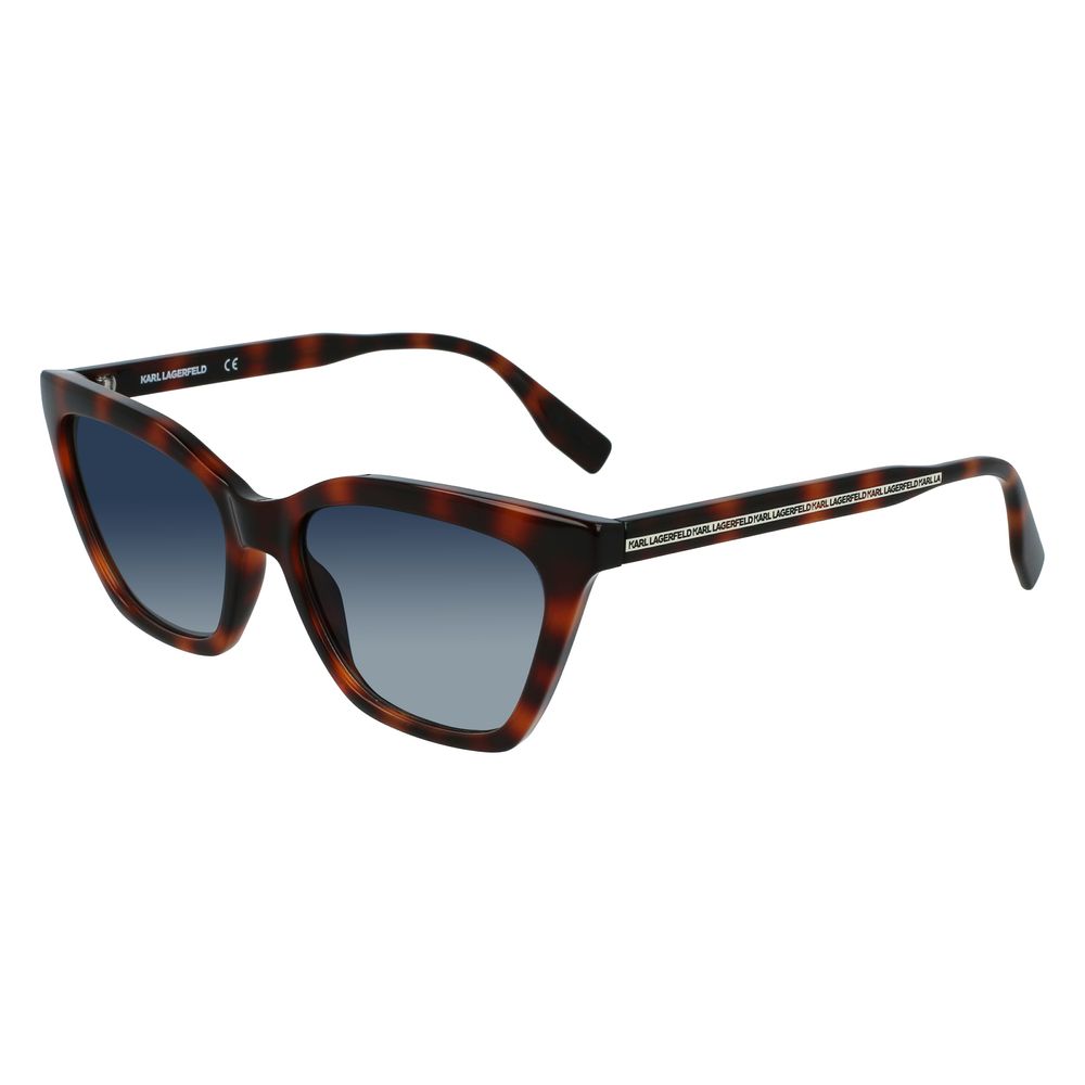Brown Injected Sunglasses