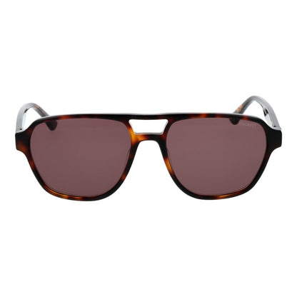 Brown Acetate Sunglasses