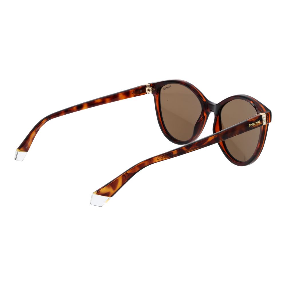 Brown Plastic Sunglasses