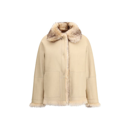 Cream Lamb Ovis Aries Aries Coat