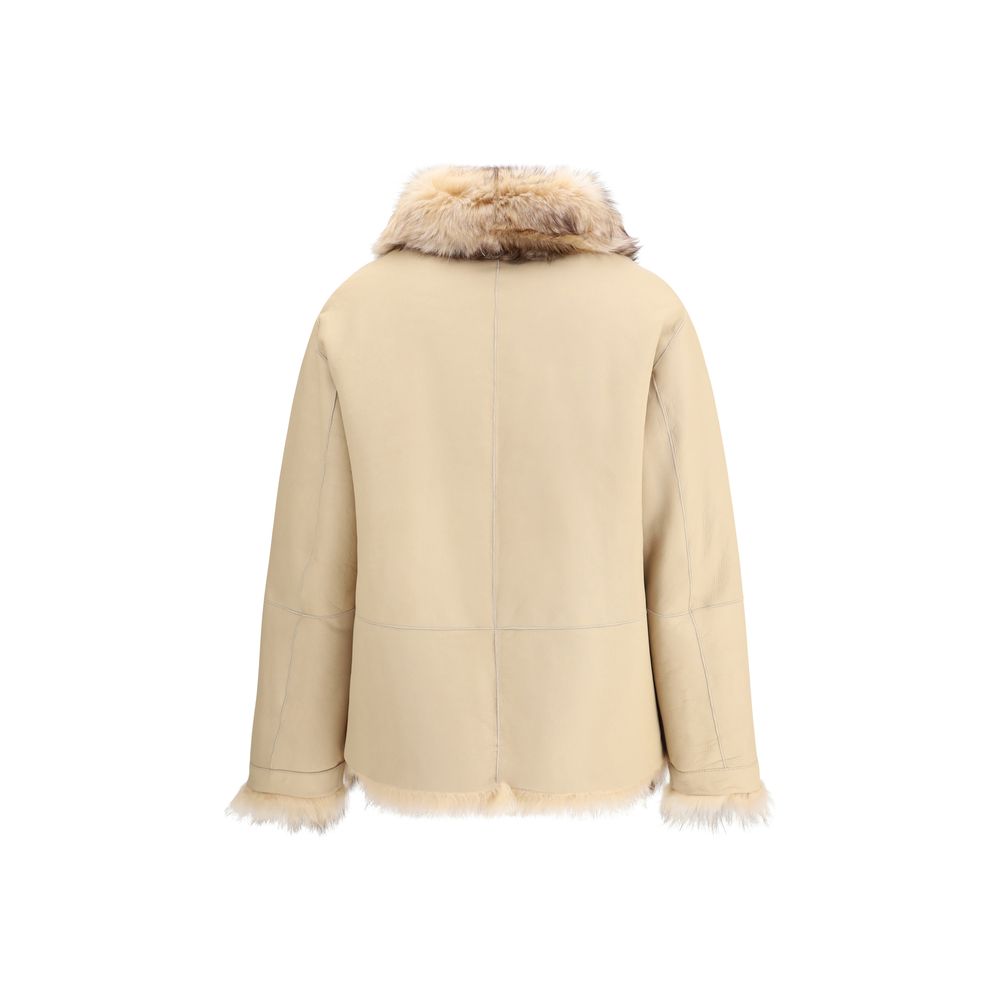Cream Lamb Ovis Aries Aries Coat